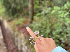 -天台山赤城山景区