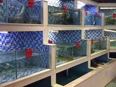 大堂-船奇蒸汽海鲜·闽菜(八市海鲜总店)