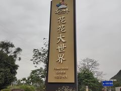 -南宁花花大世界景区