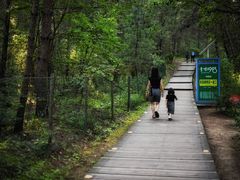 -帽儿山国家森林公园