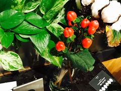 -Seesaw Coffee(环贸iapm店)