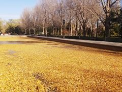 -玲珑塔公园