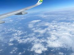 -大东海海鲜酒楼(渔人码头总店)