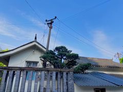 -南山植物园