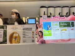 -树夏(成都招商大魔方店)