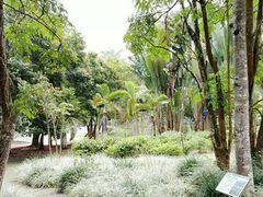 -中国科学院西双版纳热带植物园