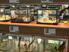 -帕帕拉兹宠物(亚洲旗舰店)