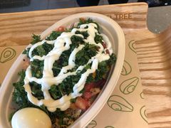 -油梨树AVOCADO TREE(望京店)
