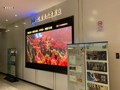 -红星电影世界上海张江绿地店