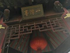 -葛仙湖公园