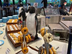 -帝企鹅自助餐厅•儿童岛•真企鹅(长隆企鹅酒店)