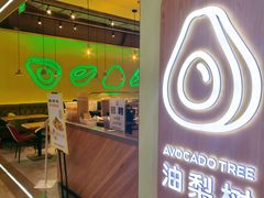 -油梨树AVOCADO TREE(望京店)