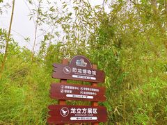 -诸城市恐龙博物馆