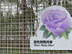 -渤公岛生态公园