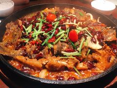 -老板恋上鱼(高新万达店)