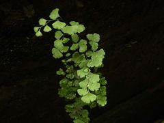 -都江堰普照寺