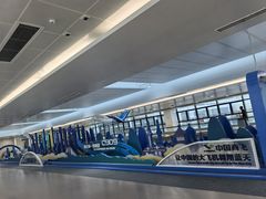 -上海浦东国际机场-T2航站楼
