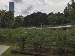 -人民公园(罗湖区)