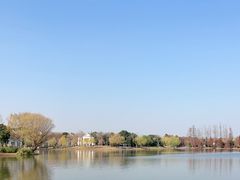 -上海长兴岛郊野公园