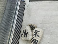 -金泽21世纪美术馆