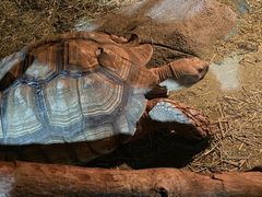 -泉州海丝野生动物世界