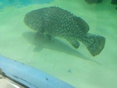 -苏州海洋馆
