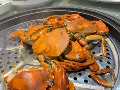 -越百海海鲜蒸锅(乐山店)