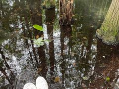 -东湖落雁景区