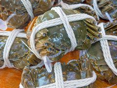 -阳澄湖大闸蟹·琼灵阁牌品牌连锁(吴中总店)