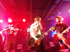 -坚果NUTS