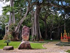 -瑞丽独树成林风景区