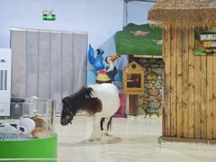 -大连圣亚海洋世界