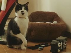 -学习谷日语培训日本留学·多语种外语教学(海淀人大分部)