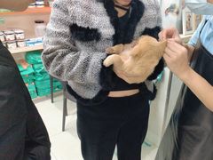 -瑞鹏宠物医院·微创内窥镜·骨外科·牙科(翠竹分院)