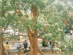 -溪口-滕头旅游景区