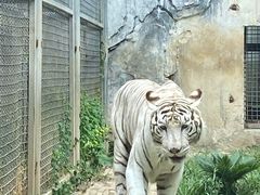 -黔灵山公园