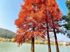 -明月山天沐温泉度假村