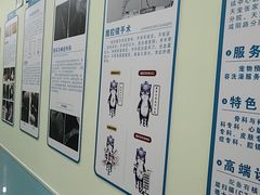-天宠宠物医院24小时·急重症诊疗中心·全科·腔镜特色(和平分院)