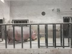 -石家庄市动物园