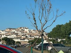 -普陀山风景名胜区-法雨禅寺