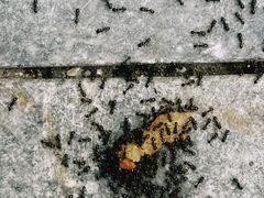 -山东省科技馆(新馆)