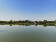-东郊湿地公园