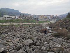 -南山植物园