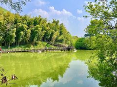 -宝岩生态观光园