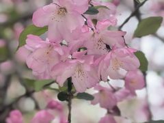 -同济大学-北苑食堂