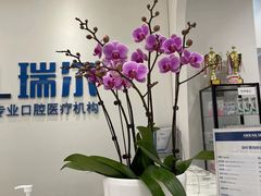 -瑞尔齿科(颐堤港诊所)