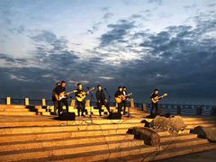 -宝安西湾红树林湿地公园