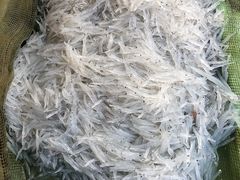 -芦潮港集贸市场