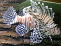 -北戴河圣蓝海洋公园