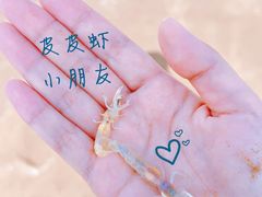 -东戴河风景区-止锚湾